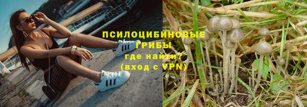 меф Белокуриха