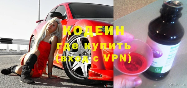 шишки Белоозёрский