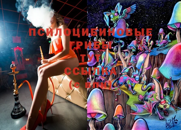 шишки Белоозёрский