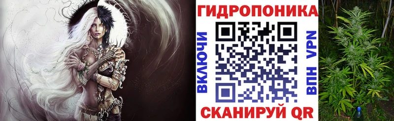 Каннабис семена  хочу   Кораблино 